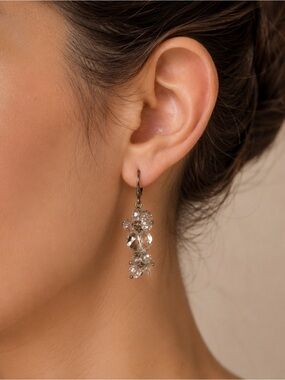 Giavan Crystal Drop Earrings